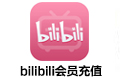 bilibili大会员充值-1年大会员